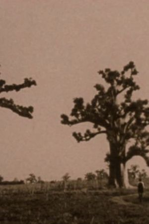A Thousand Year Song of Baobab's poster