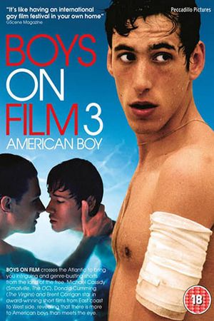 Boys on Film 3: American Boy's poster