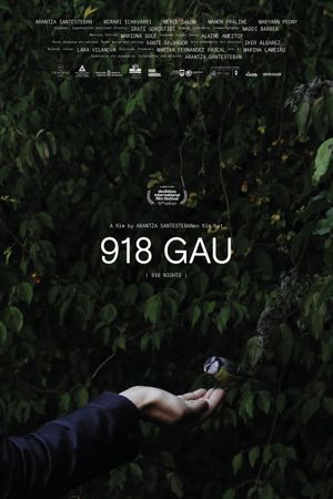 918 Nights's poster