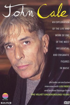 John Cale: An Exploration of His Life & Music's poster