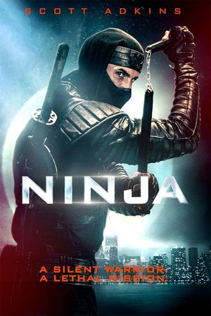 Ninja's poster