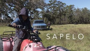 Sapelo's poster