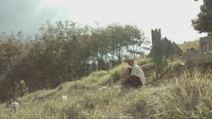 Weeping Birds's poster