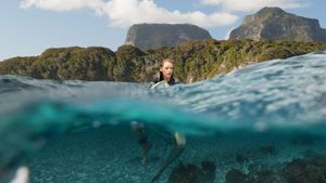 The Shallows's poster