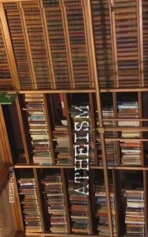 Brief History of Disbelief's poster