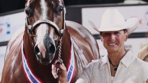 All the Queen's Horses's poster