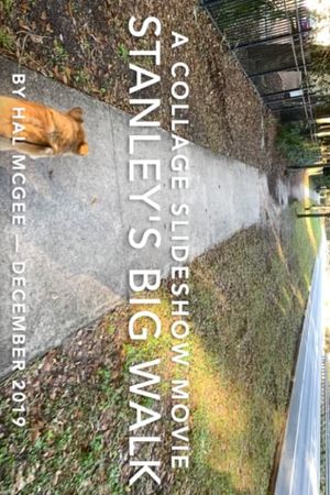 Stanley's Big Walk's poster