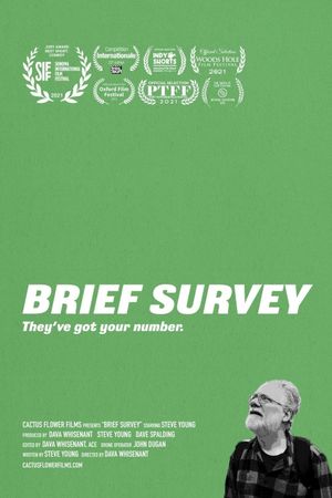 Brief Survey's poster
