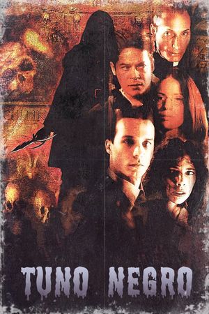 Tuno negro's poster