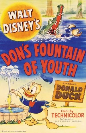 Don's Fountain of Youth's poster