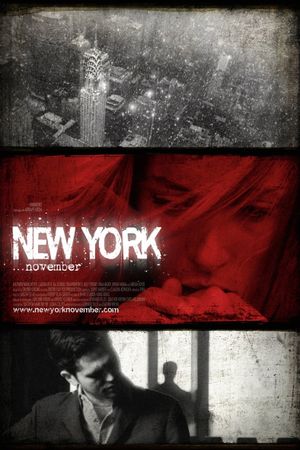 New York November's poster