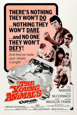 The Young Animals's poster