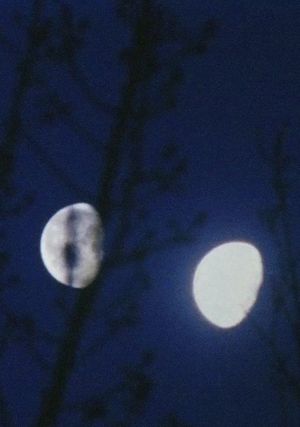 Lunar Almanac's poster