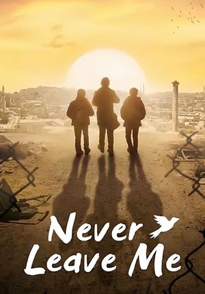 Never Leave Me's poster