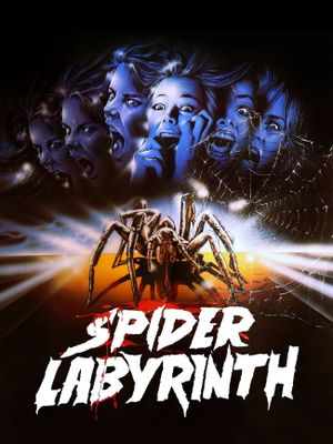 The Spider Labyrinth's poster