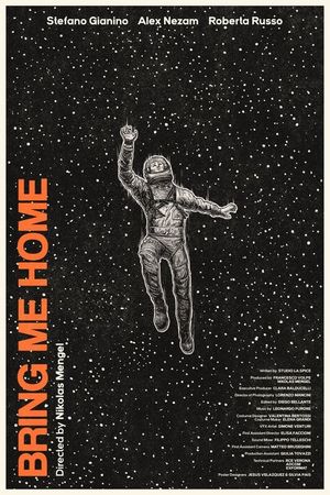 Bring Me Home's poster