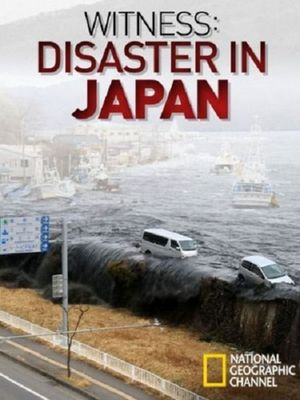 Witness: Disaster in Japan's poster