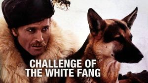 Challenge to White Fang's poster