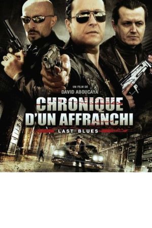Chronique d'un Affranchi's poster