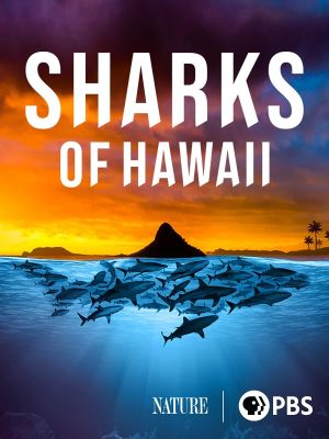 Sharks of Hawaii's poster