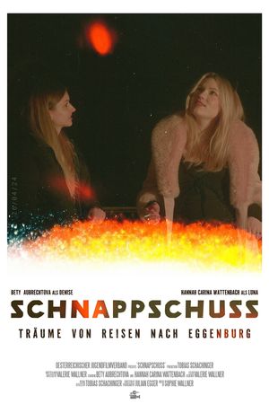 Schnappschuss's poster