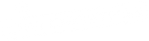 Kiwi Christmas's poster