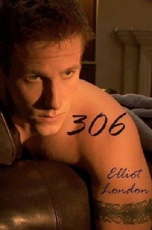 306's poster
