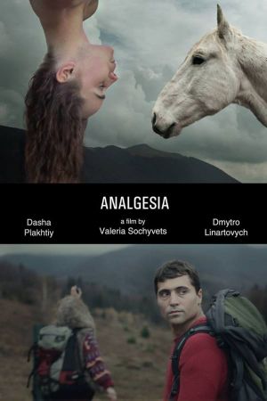 Analgesia's poster