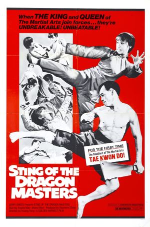 When Taekwondo Strikes's poster
