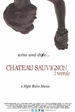 Chateau Sauvignon: terroir's poster image