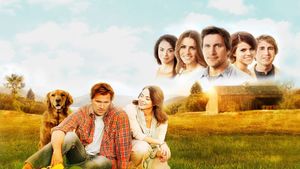 Midway to Heaven's poster