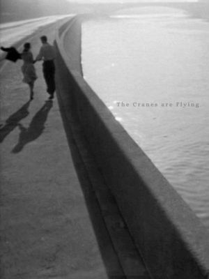 The Cranes Are Flying's poster