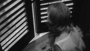 L'Eclisse's poster