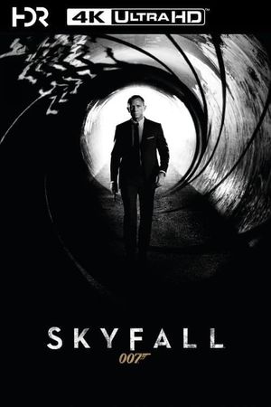Skyfall's poster