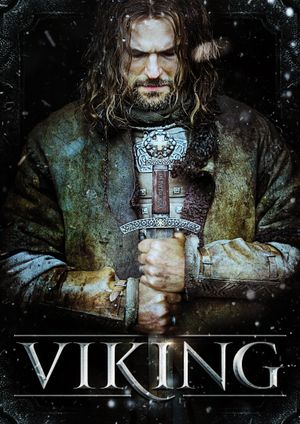 Viking's poster