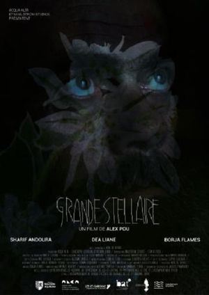 Grande Stellaire's poster