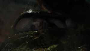Alien: Romulus's poster