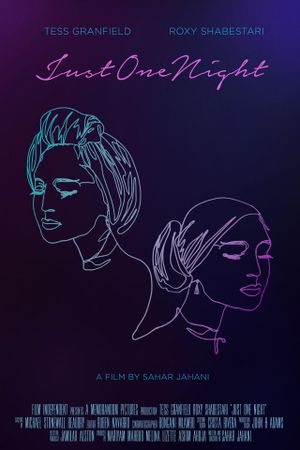 Just One Night's poster