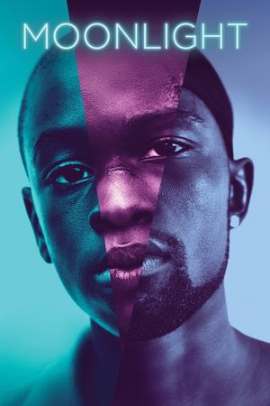 Moonlight's poster
