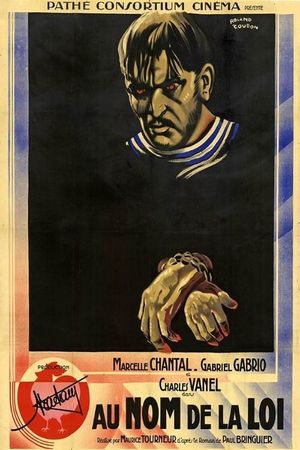 In the Name of the Law's poster