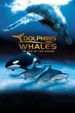 IMAX Dolphins and Whales: Tribes of the Ocean's poster