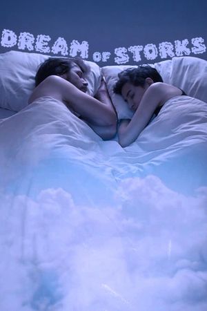 Dream of Storks's poster