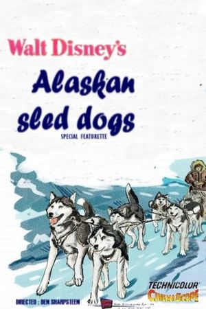 Alaskan Sled Dog's poster
