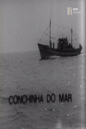 Conchinha do Mar's poster