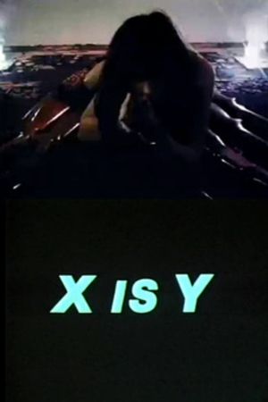 X Is Y's poster