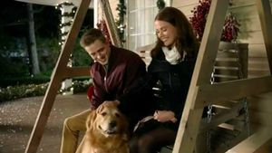 The Christmas Cure's poster