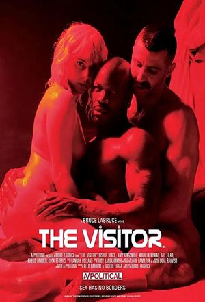 The Visitor's poster