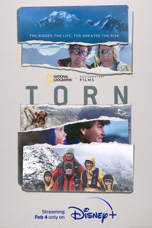 Torn's poster