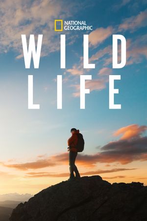 Wild Life's poster