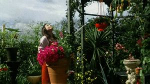 Hanging Garden's poster